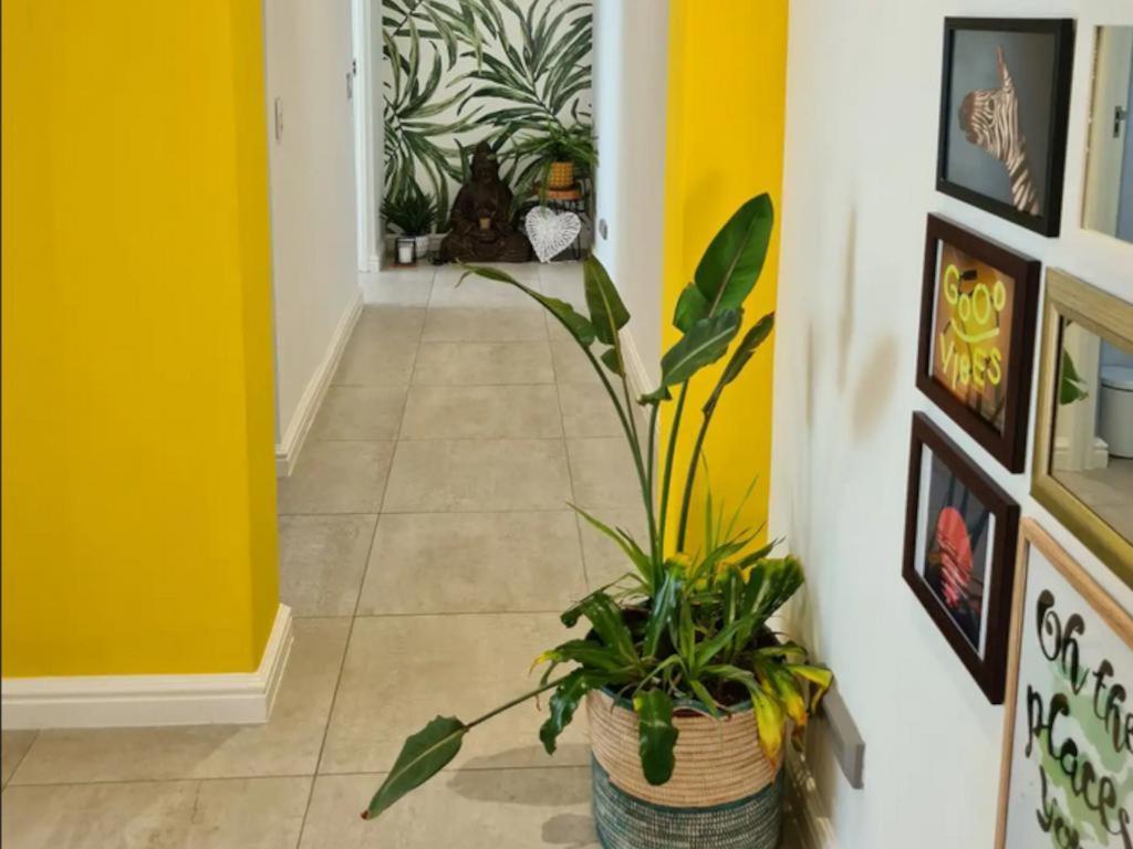 The Little Big Green House Hotell Muizenberg Rom bilde