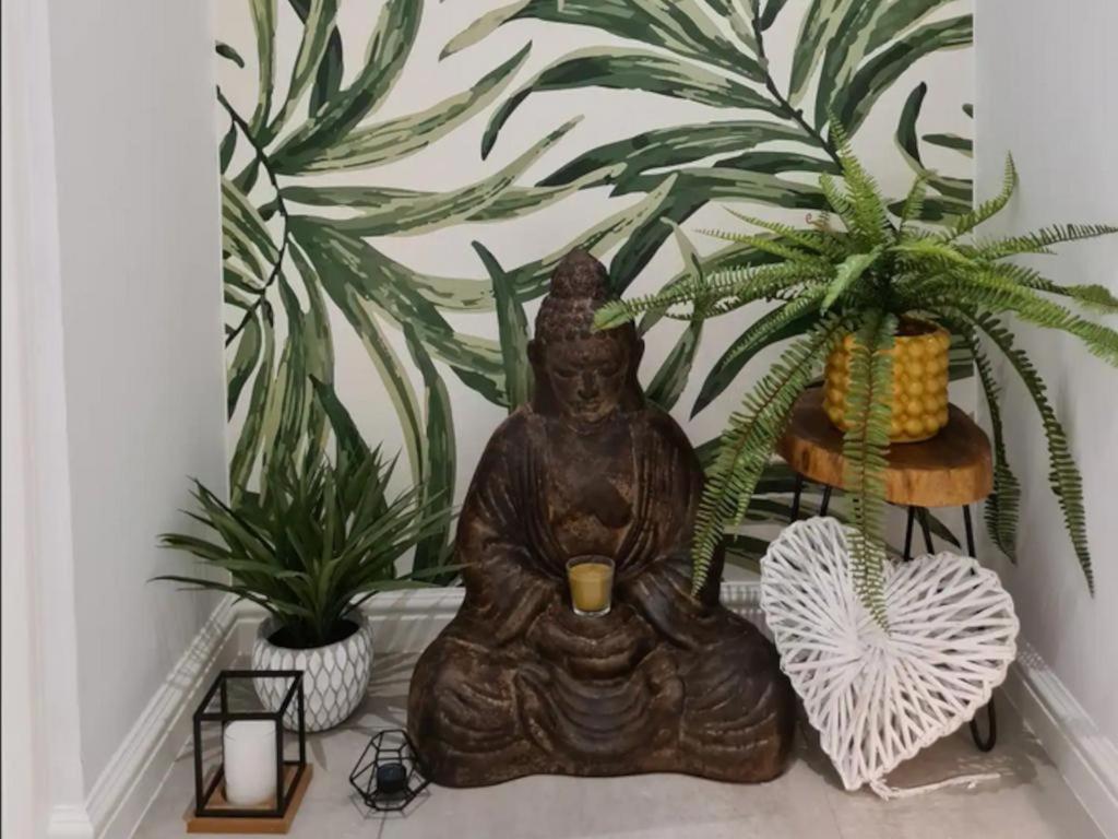 The Little Big Green House Hotell Muizenberg Rom bilde